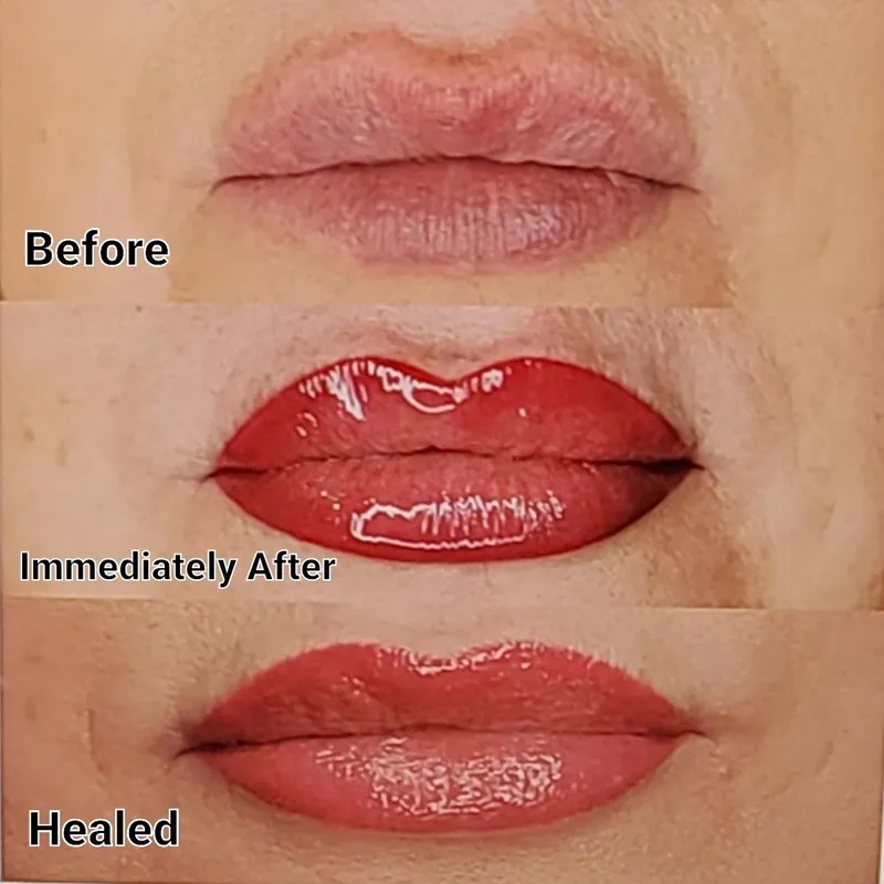 Permanent Makeup Before And After Lip Blush Colours Before And After