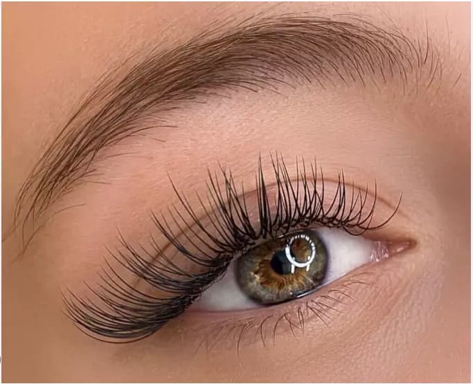 Classic Set Lashes Kitten Lash Mapping