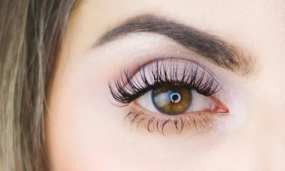 Classic Set Lashes classic fill lashes