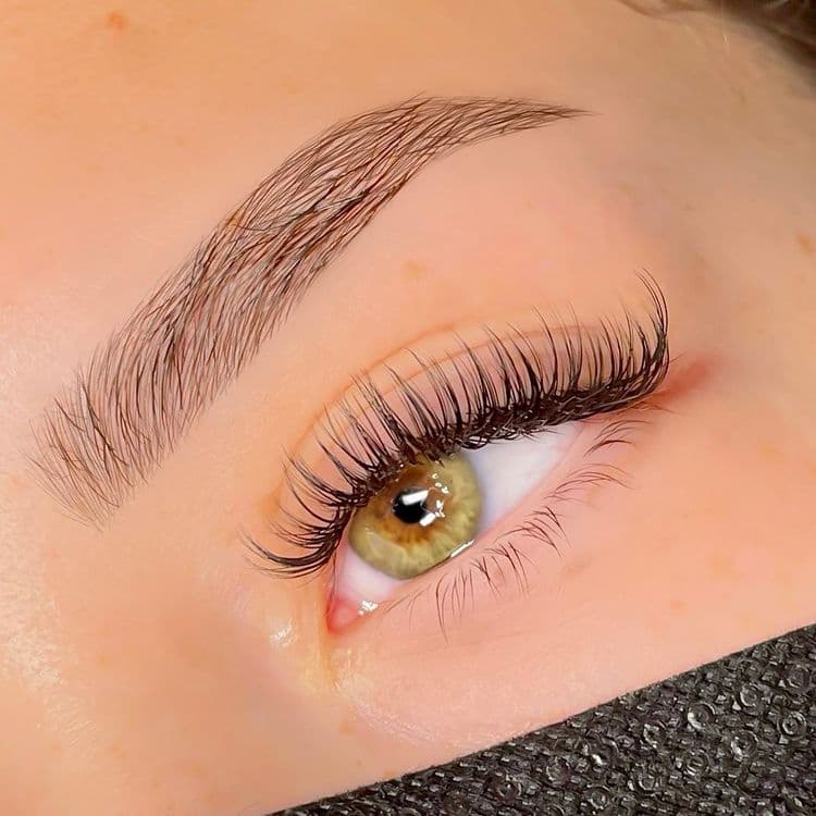 Classic Set Lashes classic natural lash extension