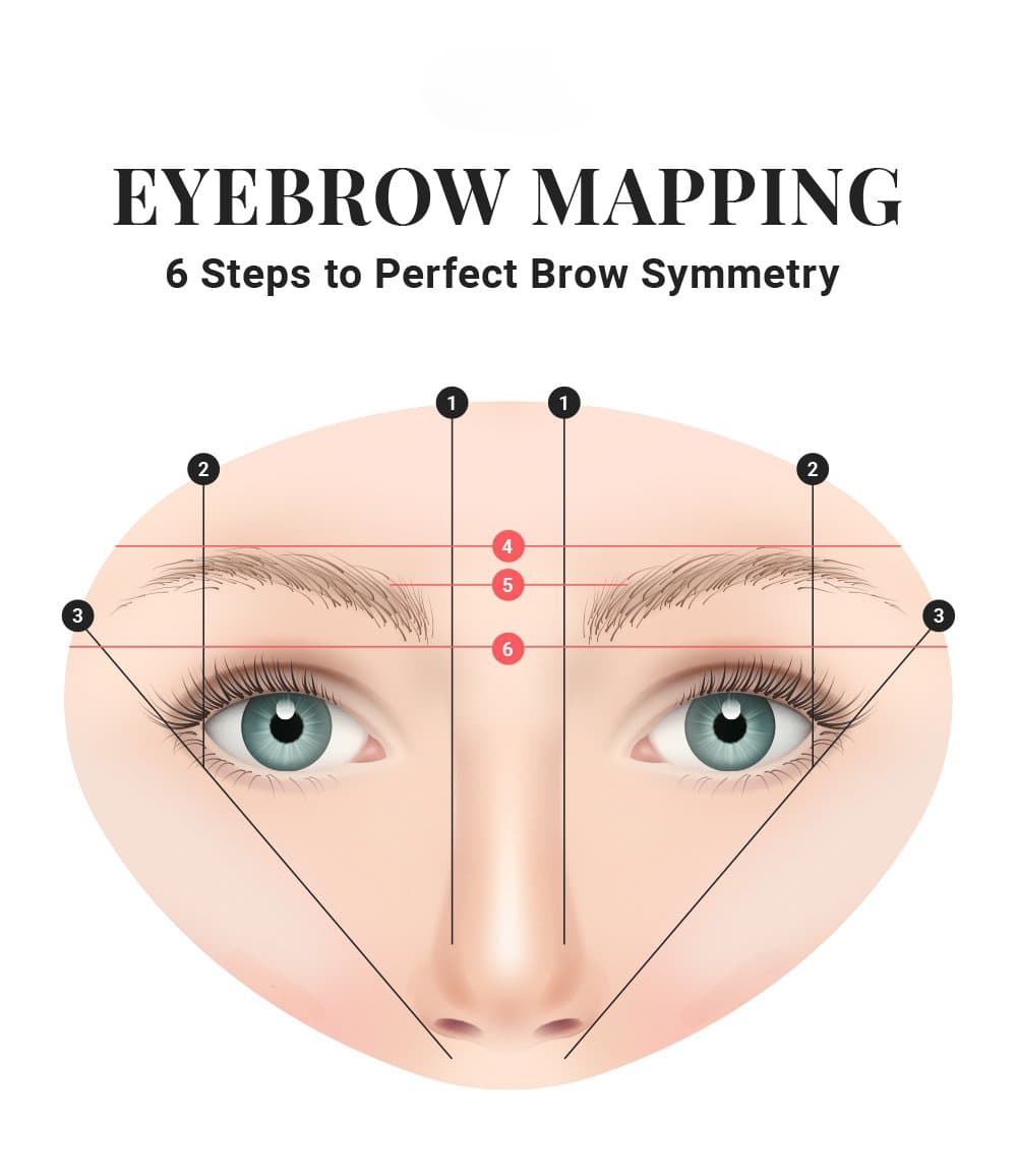 eyebrow mapping infographic