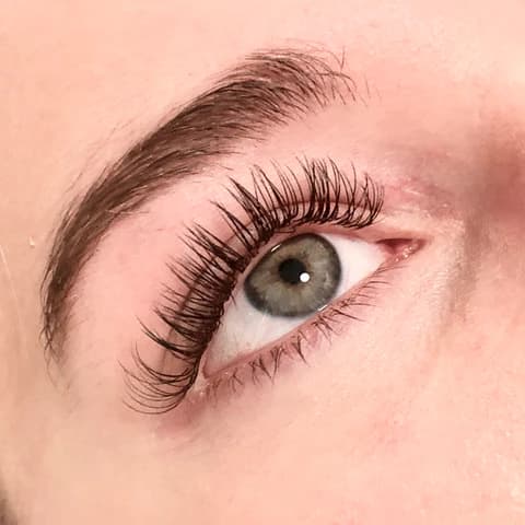 Classic Set Lashes mega classics lashes
