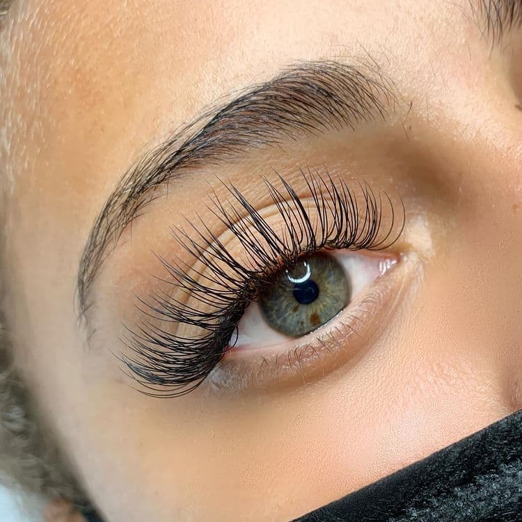 Classic Set Lashes classic lash map for hooded eyes