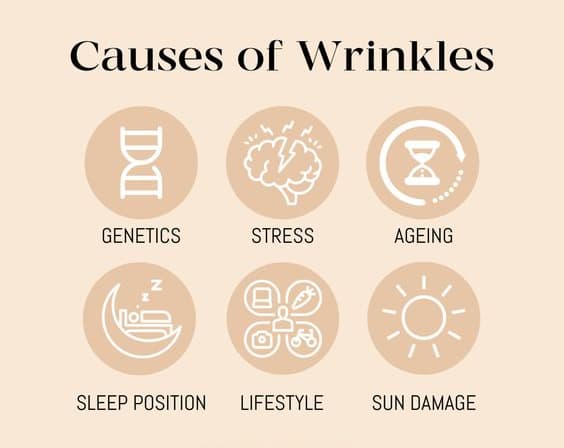 Causes Of Wrinkles