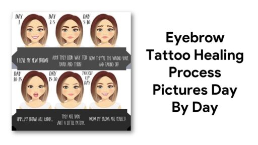 Eyebrow Tattoo Healing Process Pictures Day By Day