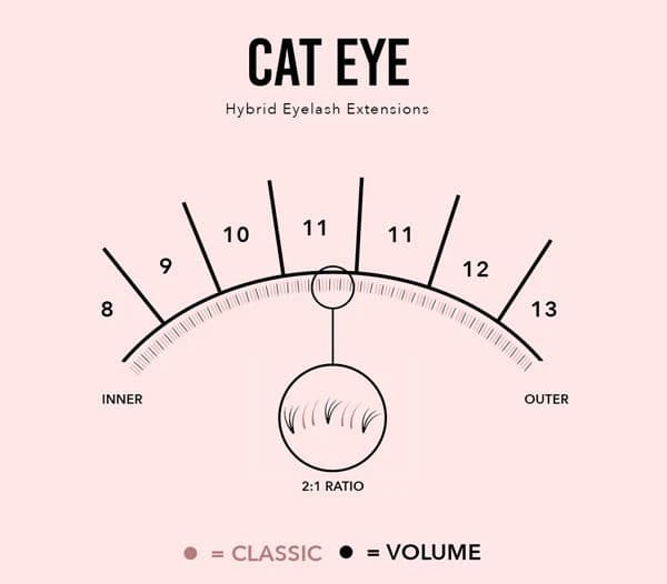 Hybrid Cat Eye Eyelash Extensions (Complete Guide) Cat Eye Hybrid Lashes Mapping