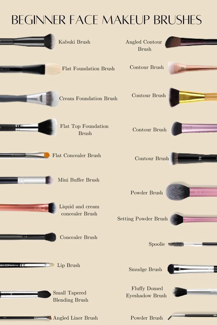 makeup brush identification chart​