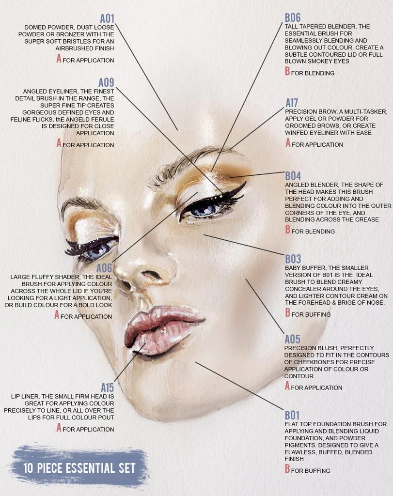 makeup brushes chart​