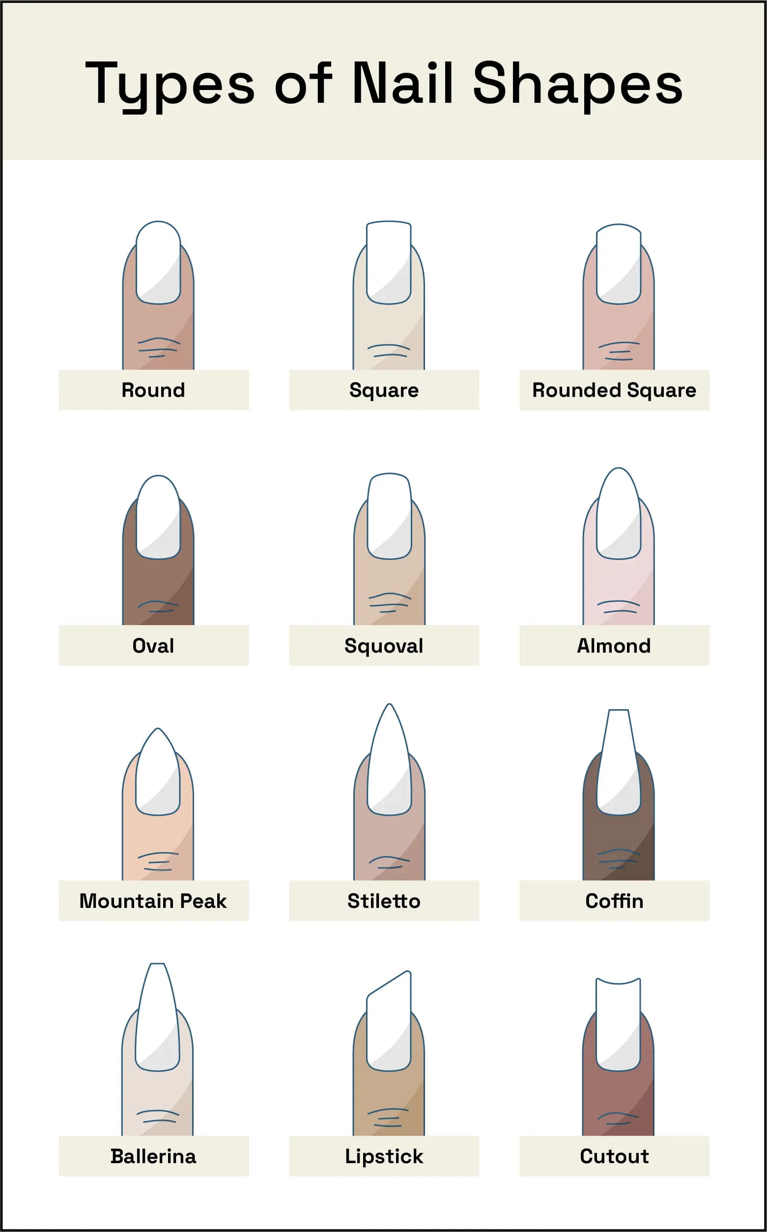 nail shape chart​