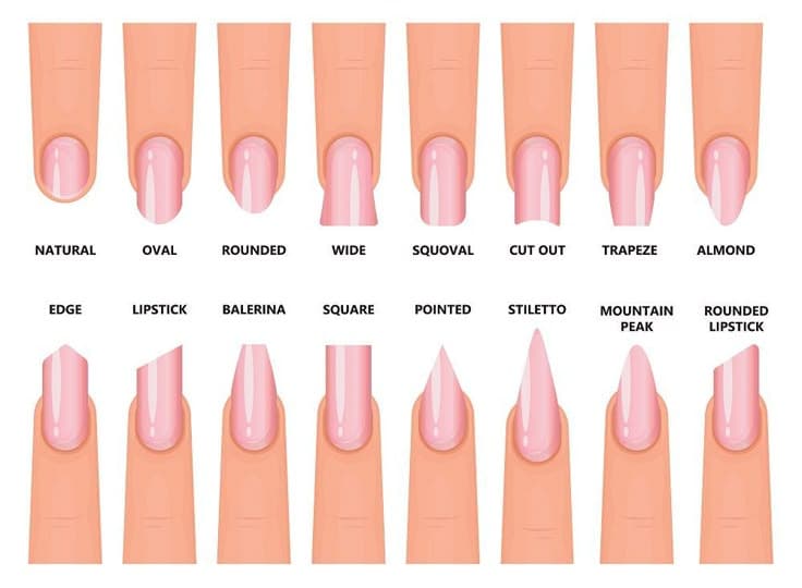 nails shapes chart​