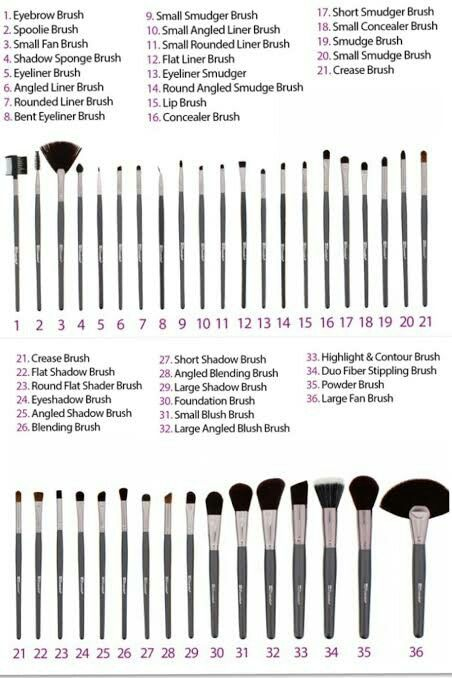types of makeup brushes chart​