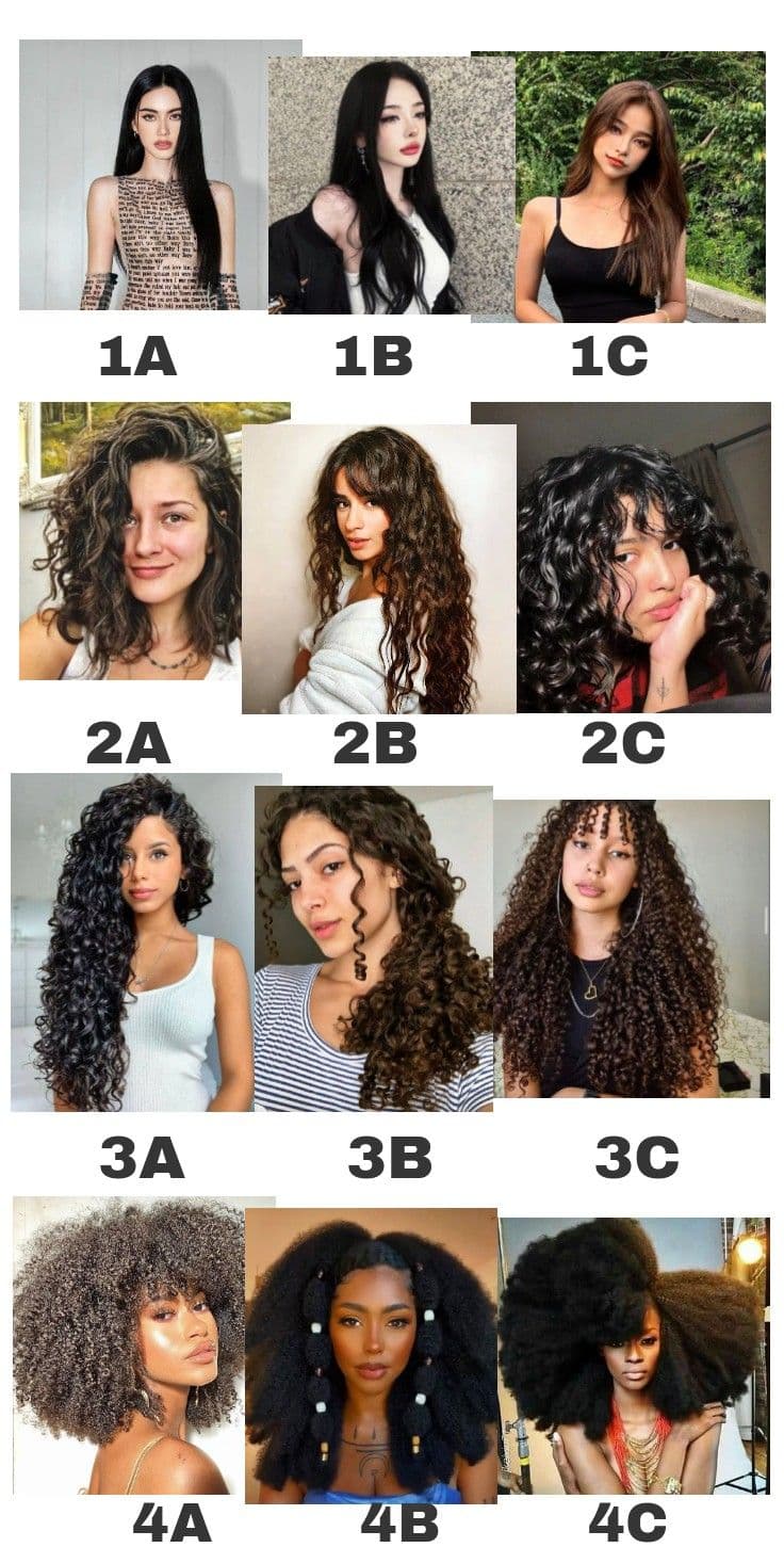 Curly Hair Length Chart Explained Curly hair types chart with pictures