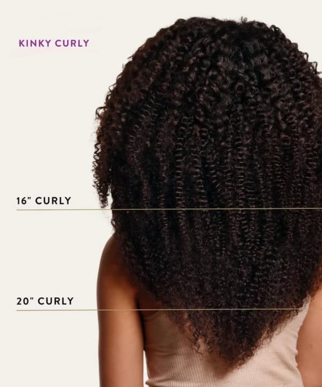 Curly Hair Length Chart Explained Kinky curly hair length chart