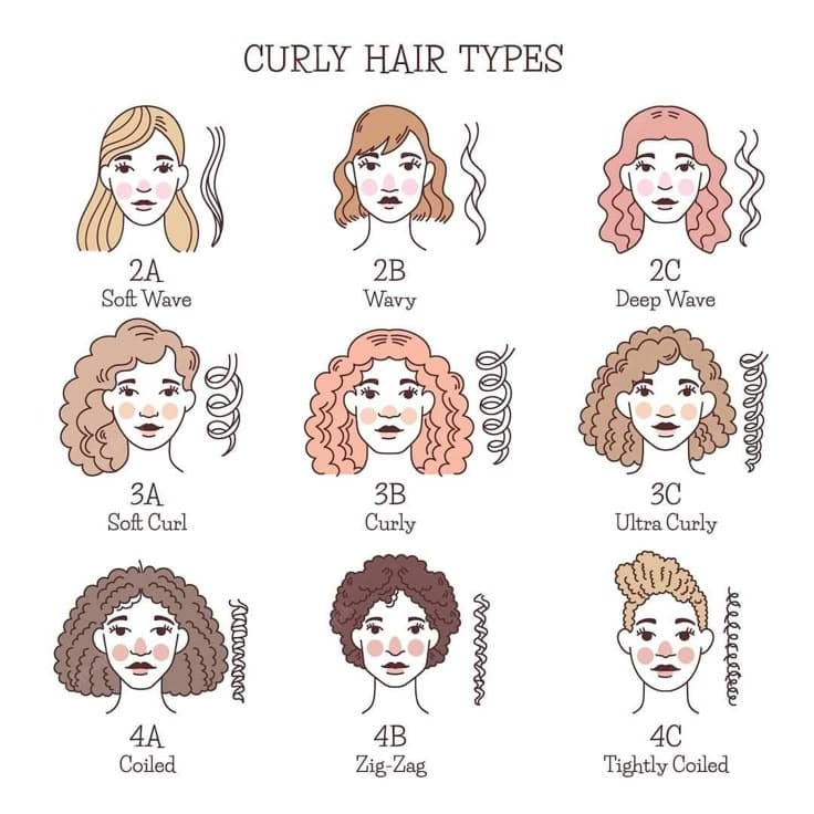 Curly Hair Length Chart Explained curly hair types chart