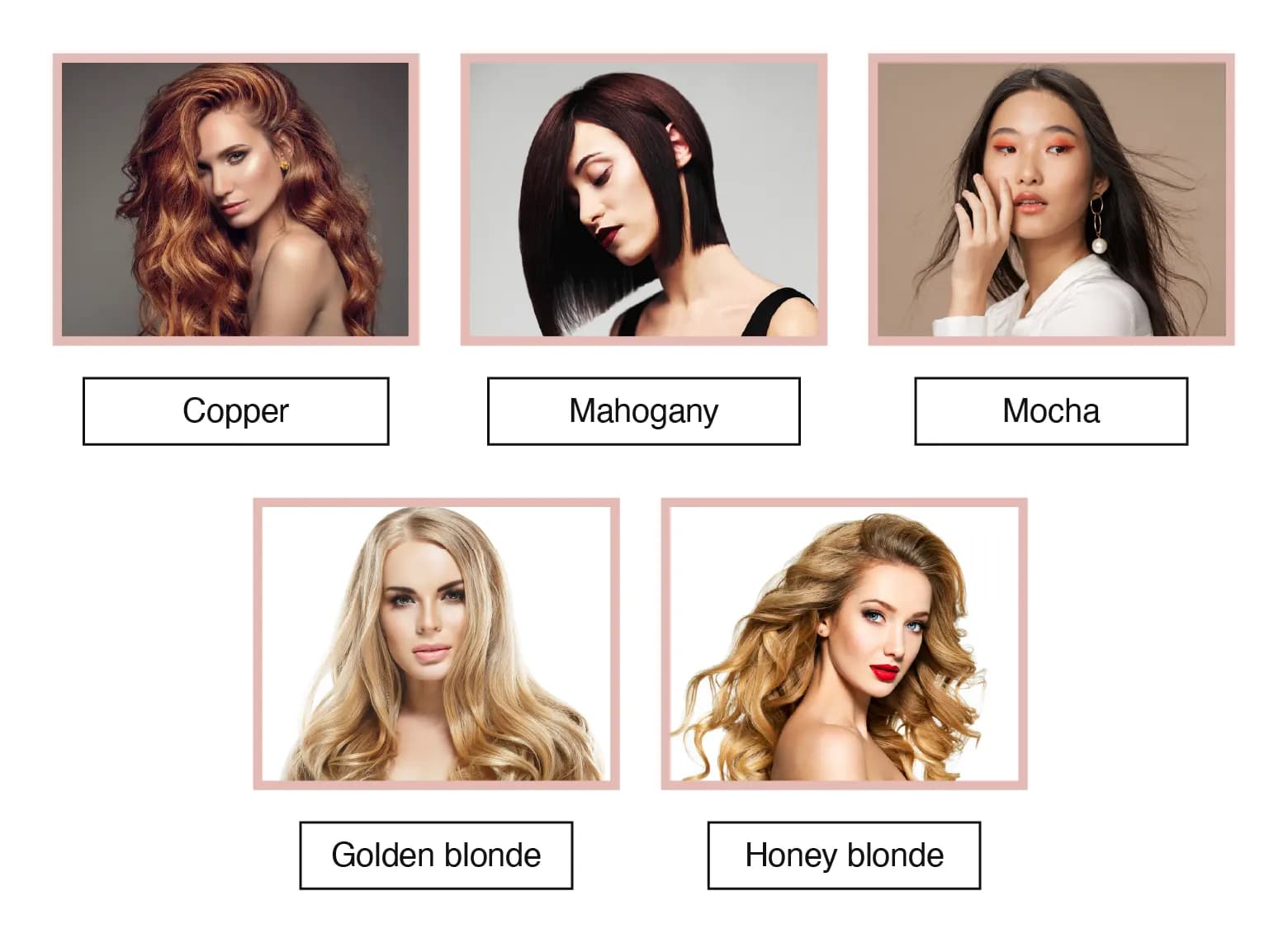 fair-skin-warm skin tone hair color chart​