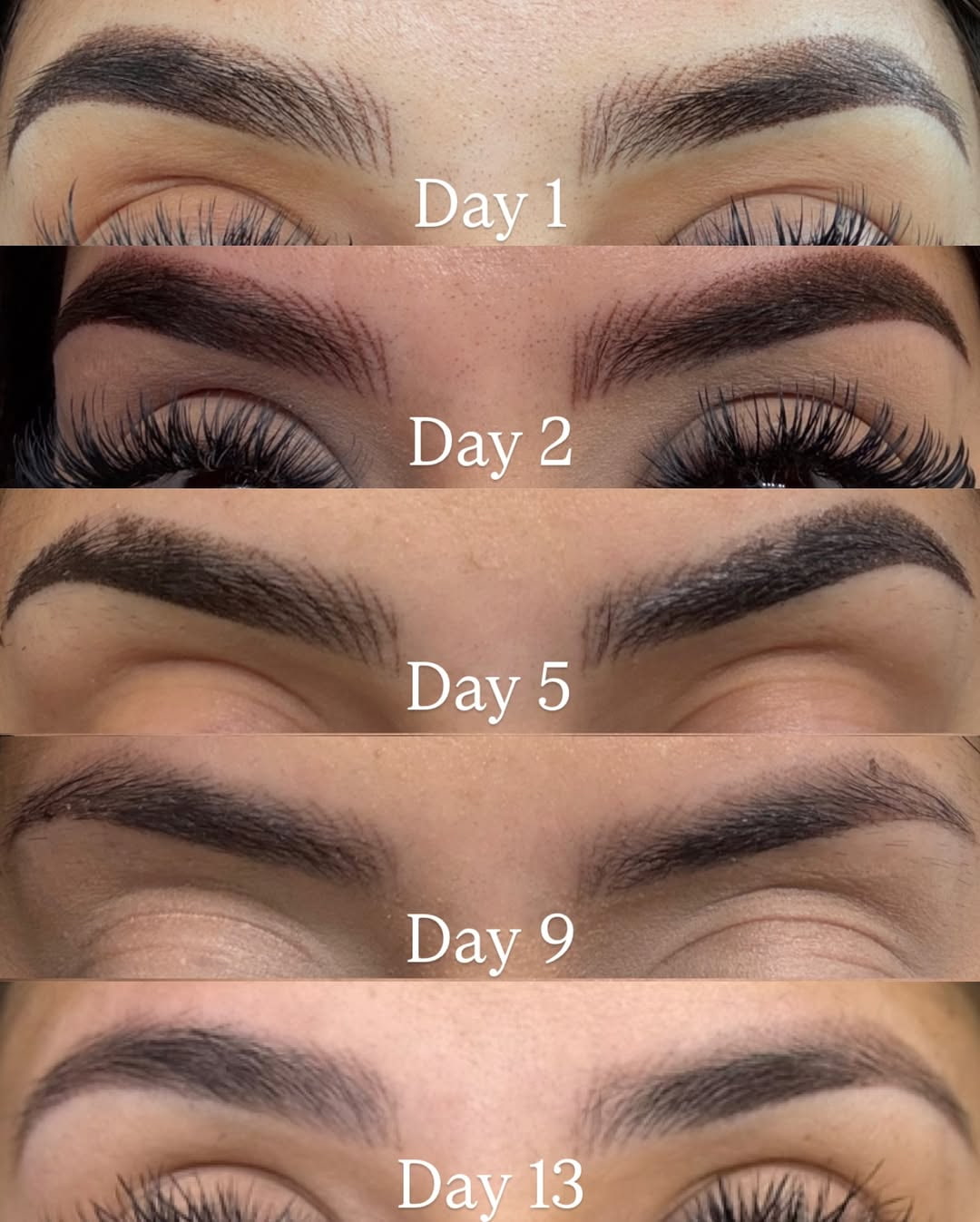 nano brows healing process pictures